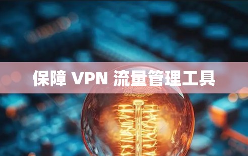 保障 VPN 流量管理工具