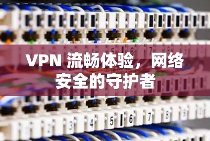 VPN 流畅体验，网络安全的守护者
