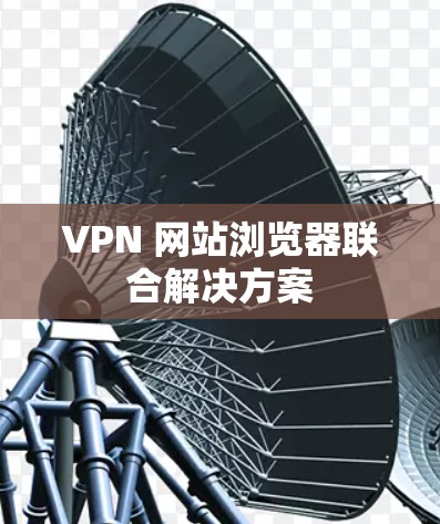VPN 网站浏览器联合解决方案