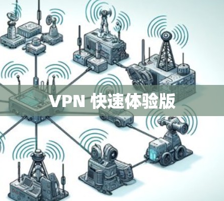 VPN 快速体验版