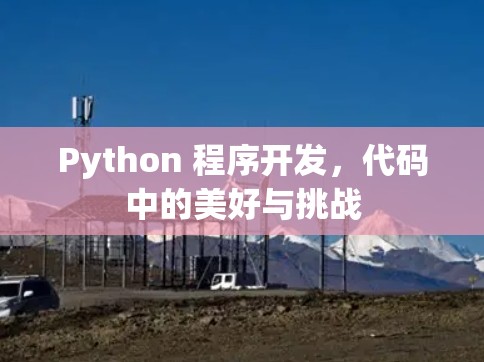 Python 程序开发，代码中的美好与挑战