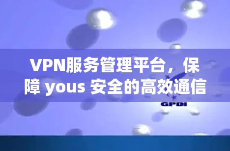 VPN服务管理平台，保障 yous 安全的高效通信桥梁