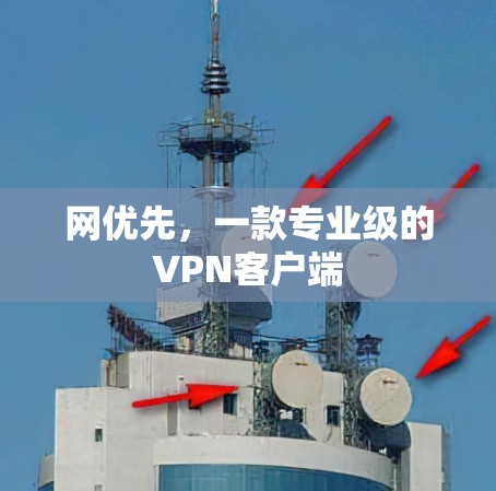 网优先，一款专业级的VPN客户端