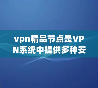 vpn精品节点是VPN系统中提供多种安全机制和功能的模块或功能，旨在通过多因素认证、端到端加密、身份验证等手段，增强用户的安全性，防止恶意登录和数据泄露。以下是关于vpn精品节点的详细说明