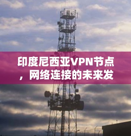 印度尼西亚VPN节点，网络连接的未来发展方向