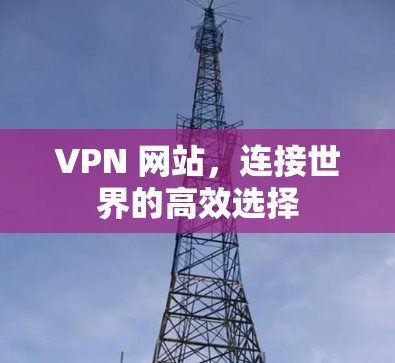 VPN 网站，连接世界的高效选择