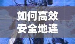 如何高效安全地连接其他用户，VPN节点共享的秘密