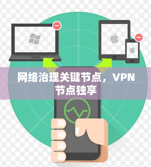 网络治理关键节点，VPN节点独享