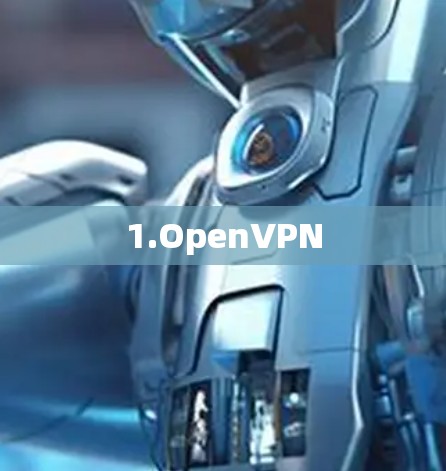 1.OpenVPN