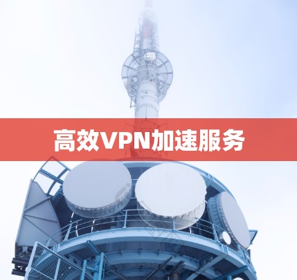 高效VPN加速服务