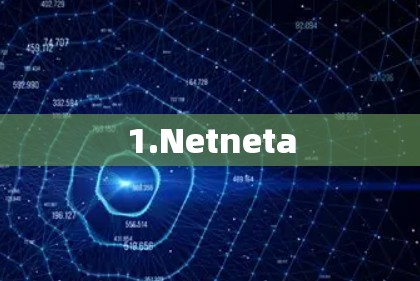 1.Netneta 1.Netneta