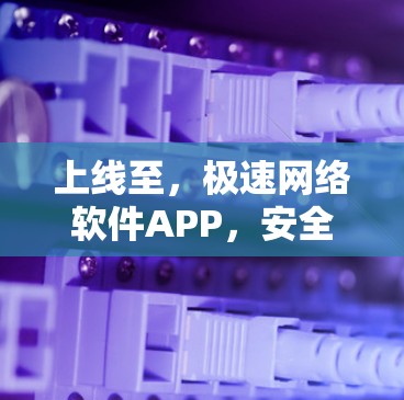 上线至，极速网络软件APP，安全、高效、便捷，为你的网络保驾护航！
