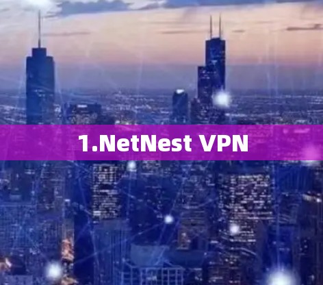 1.NetNest VPN