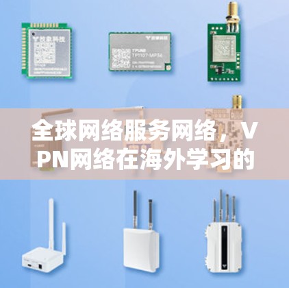 全球网络服务网络，VPN网络在海外学习的机遇与趋势