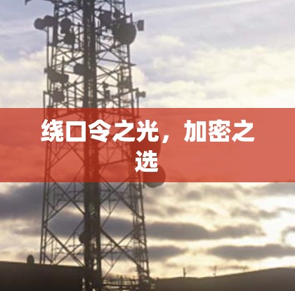绕口令之光，加密之选