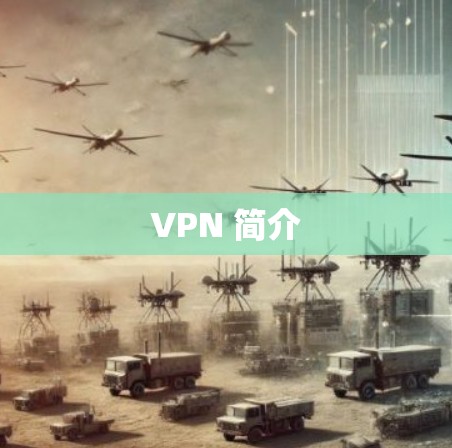 VPN 简介
