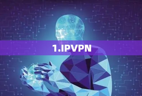 1.IPVPN