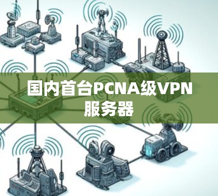 国内首台PCNA级VPN服务器