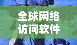 全球网络访问软件，让网络更安全可靠