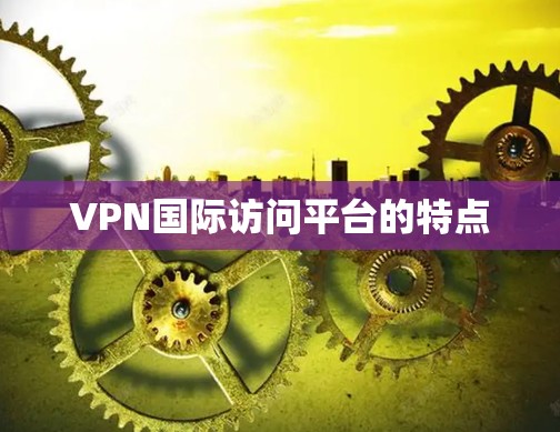 VPN国际访问平台的特点