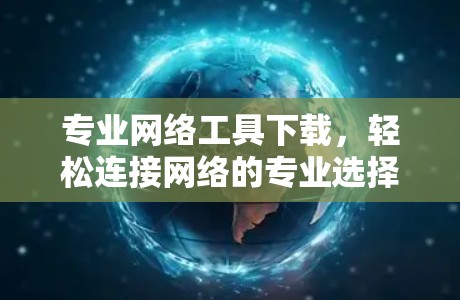 专业网络工具下载，轻松连接网络的专业选择