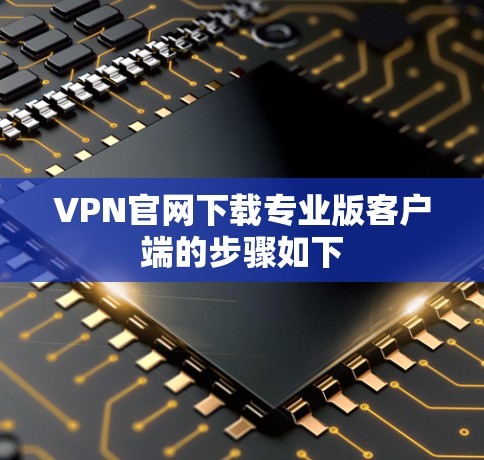 VPN官网下载专业版客户端的步骤如下