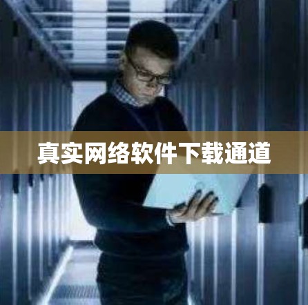 真实网络软件下载通道