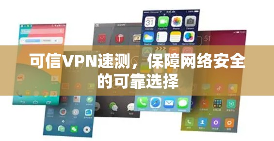 可信VPN速测，保障网络安全的可靠选择