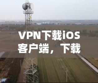 VPN下载iOS客户端，下载速度快，稳定，安全