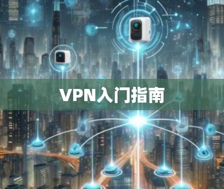 VPN入门指南