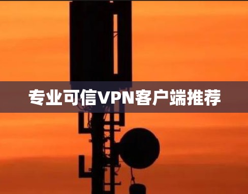 专业可信VPN客户端推荐