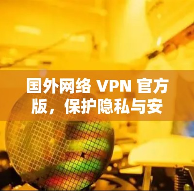 国外网络 VPN 官方版，保护隐私与安全的首选