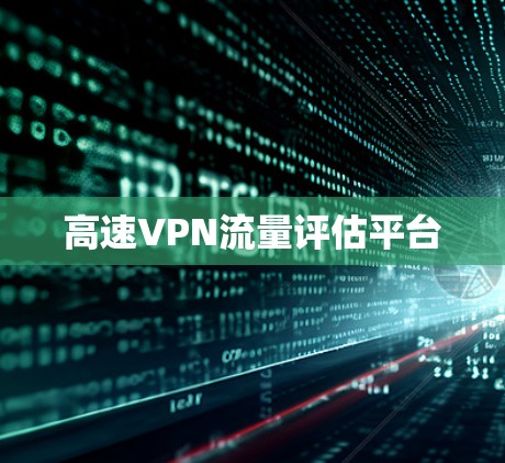 高速VPN流量评估平台