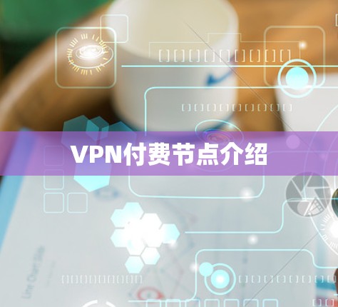 VPN付费节点介绍