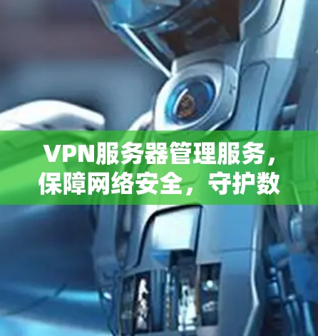 VPN服务器管理服务，保障网络安全，守护数据安全的智能解决方案
