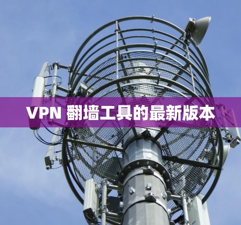 VPN 翻墙工具的最新版本