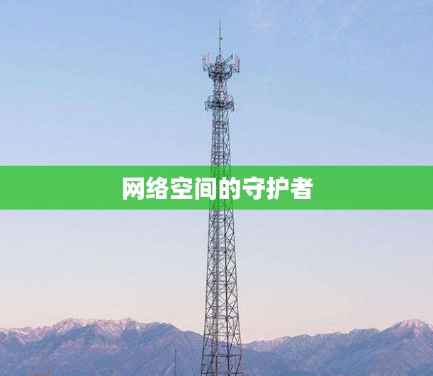 网络空间的守护者