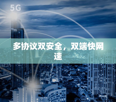 多协议双安全，双端快网速