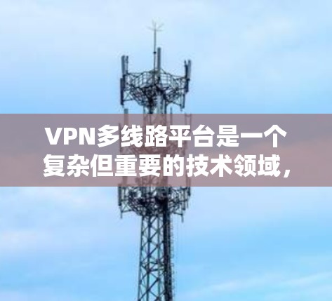 VPN多线路平台是一个复杂但重要的技术领域，涉及多个独立的VPN服务，为用户提供多样化的安全通信渠道。以下是对这些平台的详细分析和总结