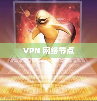 VPN 网络节点