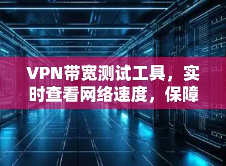 VPN带宽测试工具，实时查看网络速度，保障IP网络安全