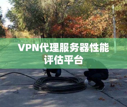 VPN代理服务器性能评估平台 VPN代理服务器性能评估平台