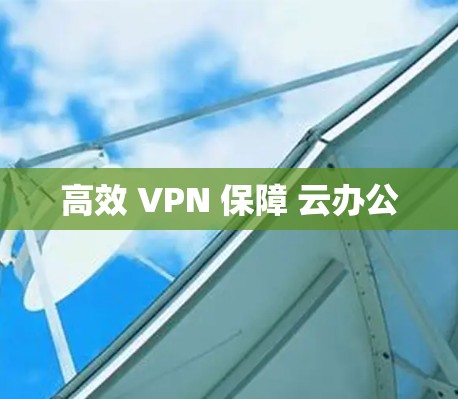 高效 VPN 保障 云办公