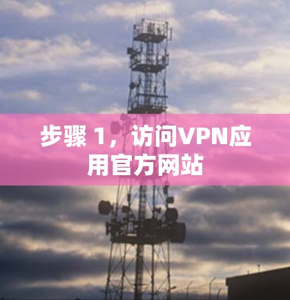 步骤 1，访问VPN应用官方网站