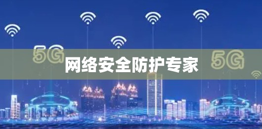 网络安全防护专家