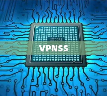 VPNSS