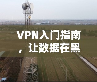VPN入门指南，让数据在黑暗中自由流动