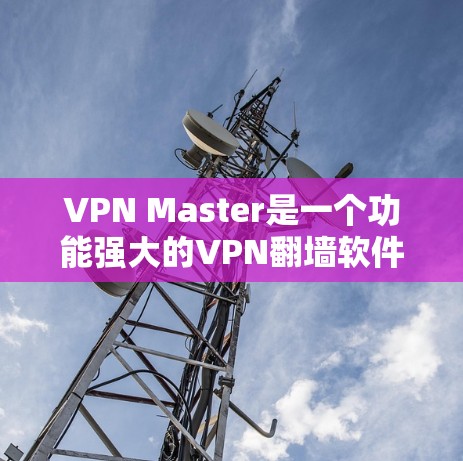 VPN Master是一个功能强大的VPN翻墙软件，提供多种翻墙工具，如IP翻墙、端口翻墙、端口过滤和H2O翻墙。以下是针对VPN Master梯子工具的详细介绍