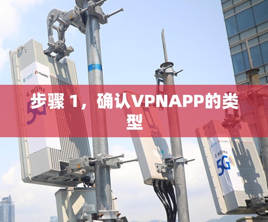 步骤 1，确认VPNAPP的类型