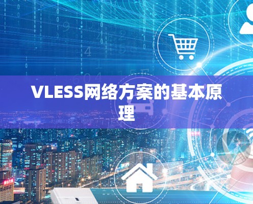 VLESS网络方案的基本原理